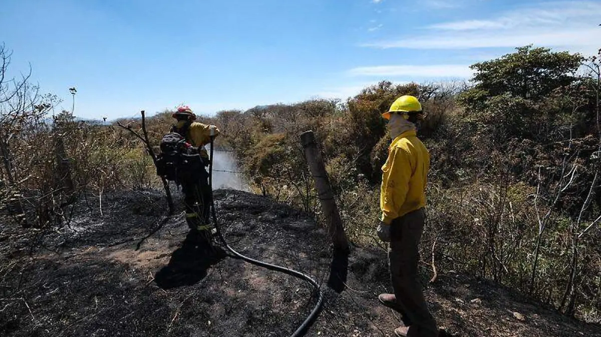 Incendio Bosque de La Primavera Aurelio Magaña